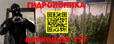 скорость Бийск