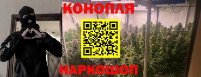 ПСИЛОЦИБИНОВЫЕ ГРИБЫ Берёзовский